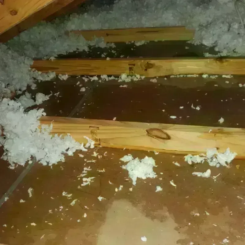 Attic Water Damage in Portageville, MO