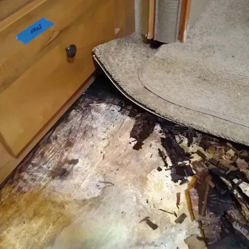 Wood Floor Water Damage in Portageville, MO